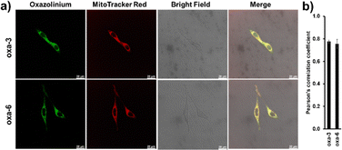 image file: d5cb00289c-f4.tif