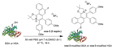 image file: d5cb00289c-s3.tif