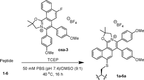 image file: d5cb00289c-u2.tif