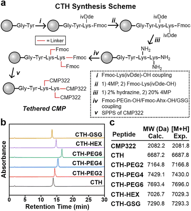 image file: d5cb00298b-f2.tif