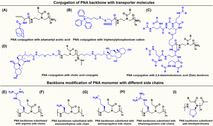 image file: d5cb00301f-f3.tif
