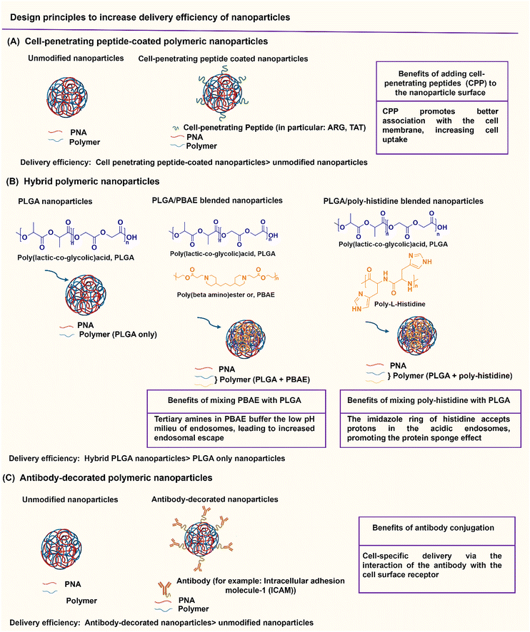 image file: d5cb00301f-f6.tif