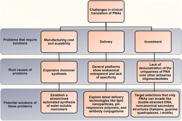 image file: d5cb00301f-f7.tif