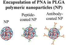 image file: d5cb00301f-u8.tif