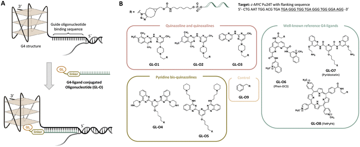 image file: d5cb00302d-f1.tif