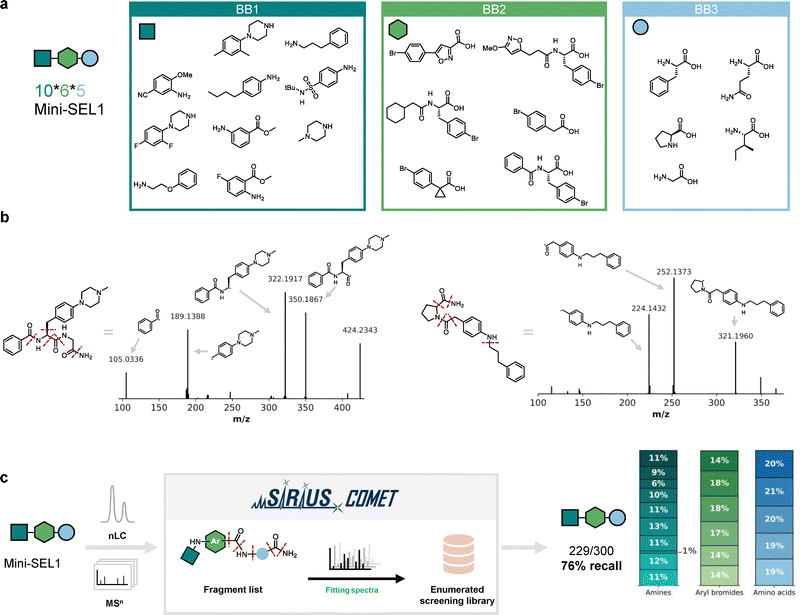 image file: d5cb00303b-f3.tif