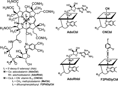 image file: d5cb00308c-f1.tif