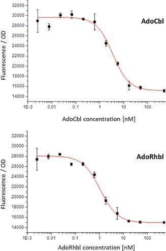 image file: d5cb00308c-f2.tif