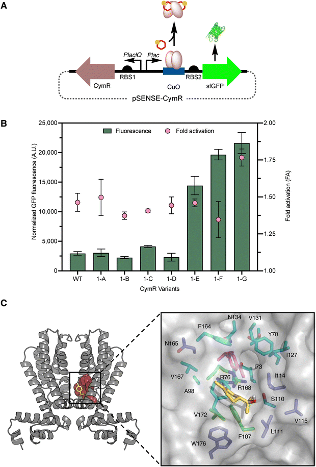 image file: d5cb00310e-f2.tif