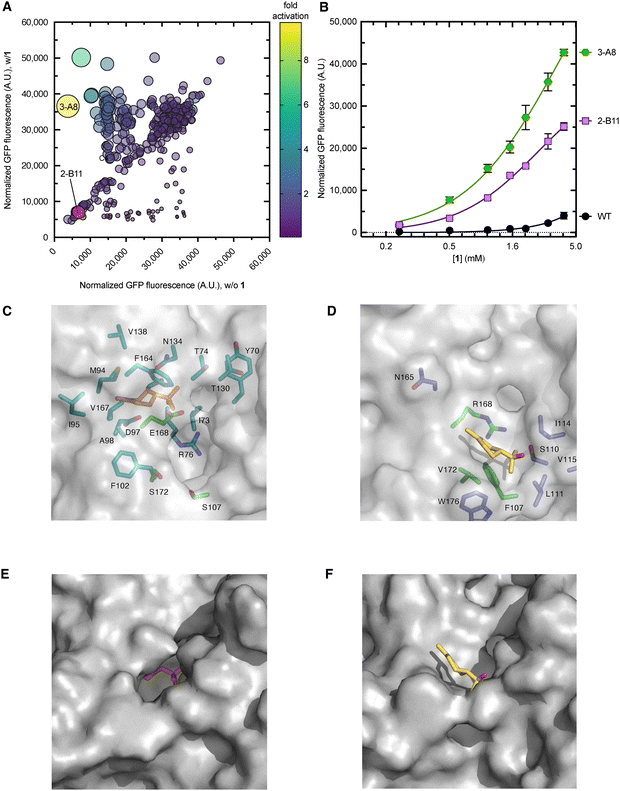 image file: d5cb00310e-f4.tif