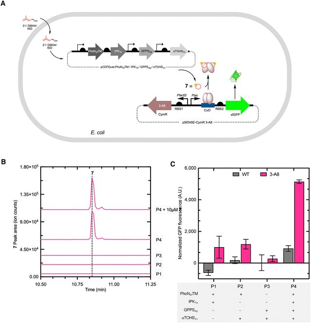 image file: d5cb00310e-f6.tif