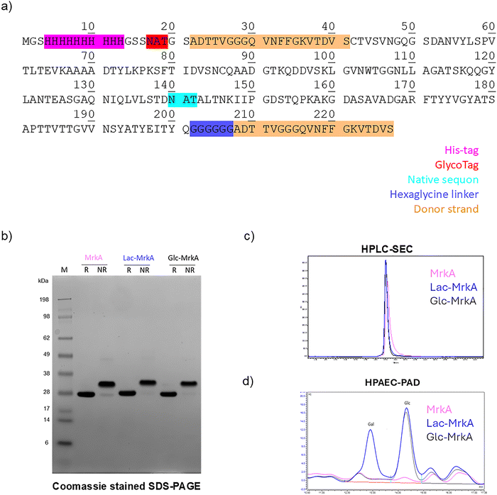 image file: d5cb00320b-f1.tif