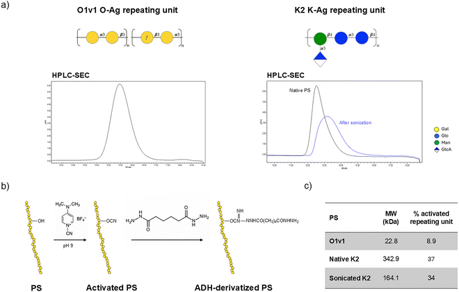 image file: d5cb00320b-f2.tif