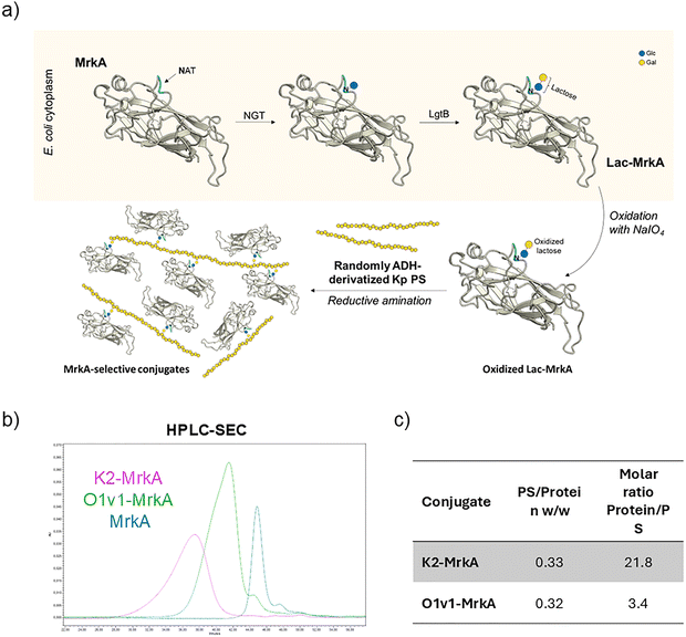 image file: d5cb00320b-f3.tif