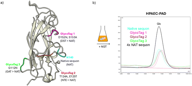 image file: d5cb00320b-f5.tif