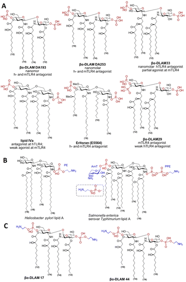 image file: d5cb00324e-f1.tif