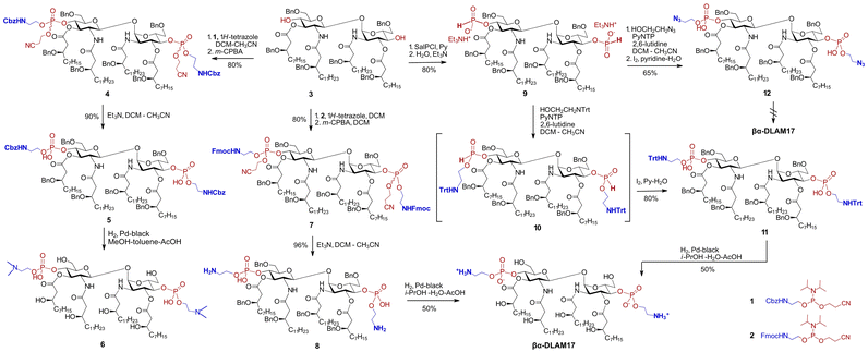 image file: d5cb00324e-s1.tif