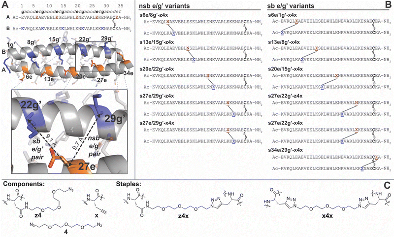 image file: d5cb00326a-f1.tif