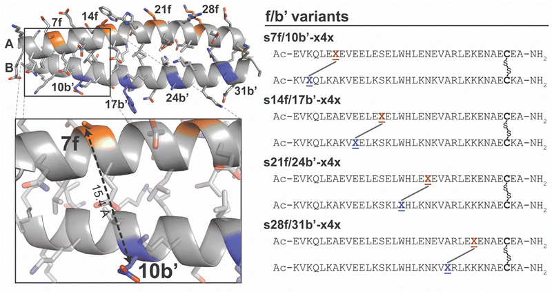 image file: d5cb00326a-f5.tif