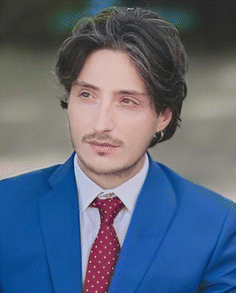 image file: d5cb90052b-u9.tif