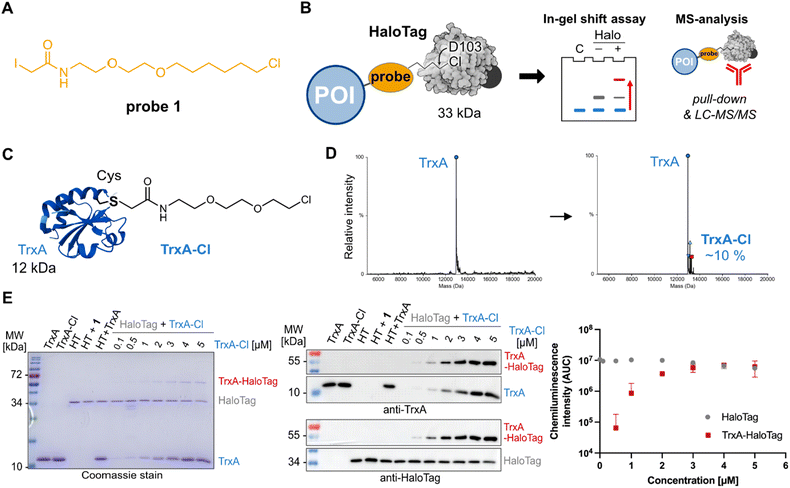 image file: d6cb00004e-f1.tif