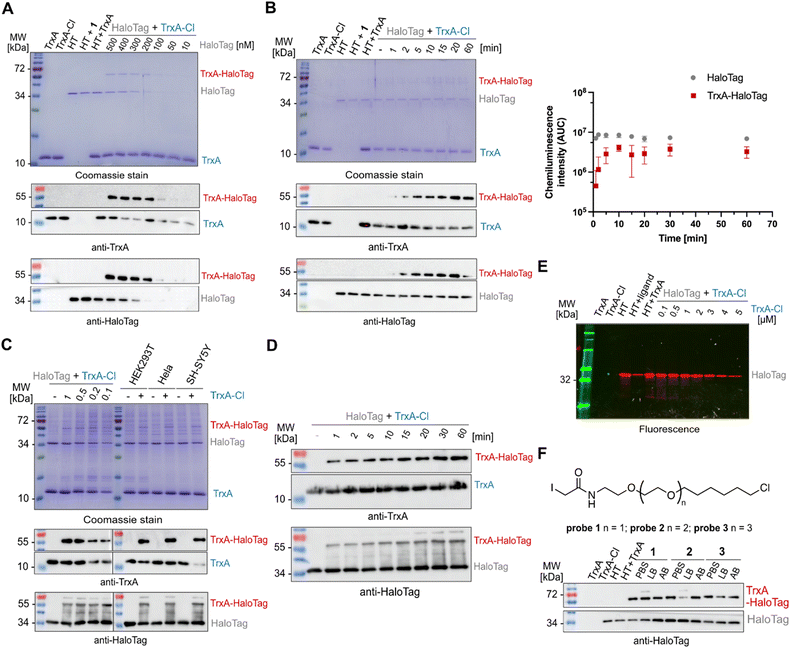 image file: d6cb00004e-f2.tif