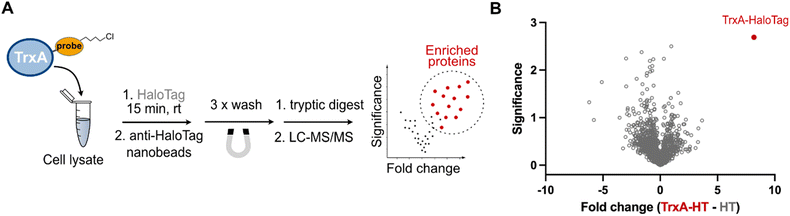 image file: d6cb00004e-f3.tif