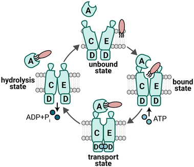 image file: d6cb00009f-f2.tif