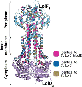 image file: d6cb00009f-f3.tif