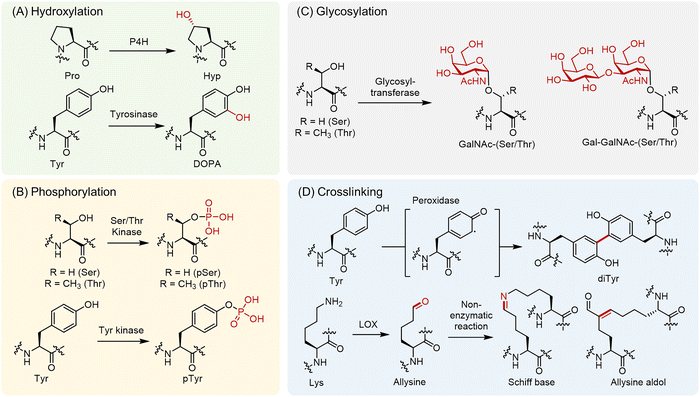 image file: d6cb00012f-f1.tif