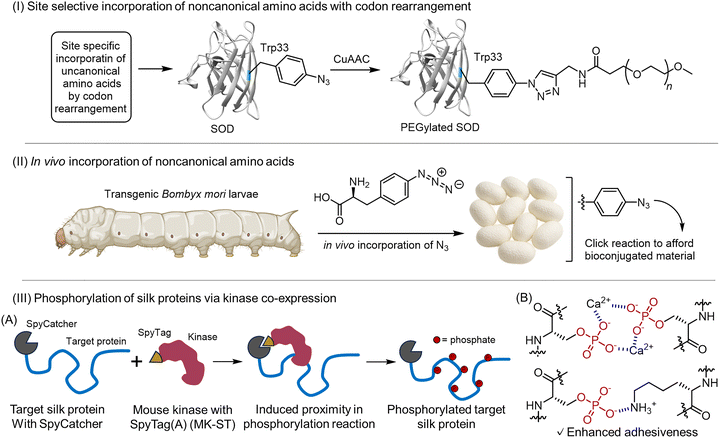 image file: d6cb00012f-f7.tif