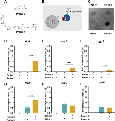 image file: d6cb00030d-f4.tif