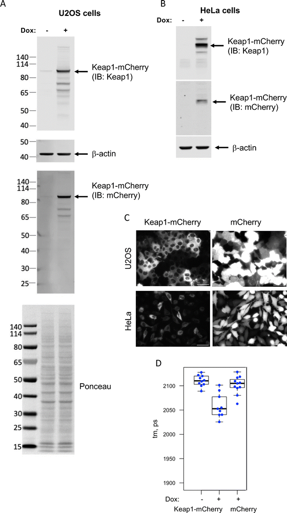 image file: d6cb00045b-f2.tif