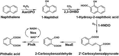 image file: d6cb00050a-s1.tif