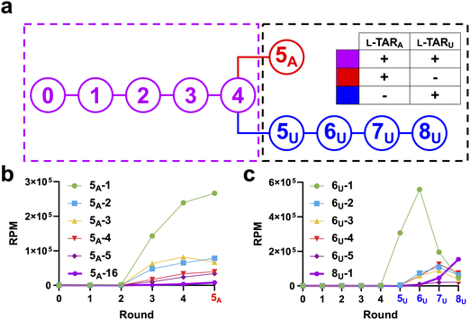 image file: d6cb00057f-f2.tif