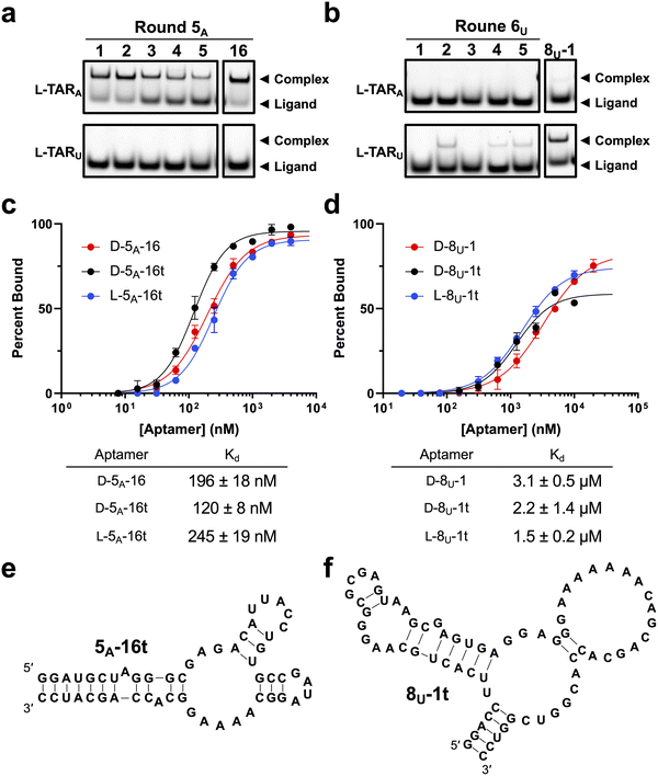 image file: d6cb00057f-f4.tif