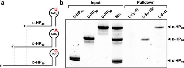 image file: d6cb00057f-f5.tif