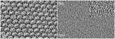 image file: d5cc03525b-f3.tif