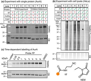 image file: d5cc04136h-f2.tif