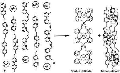 image file: d5cc04396d-f2.tif