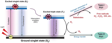 image file: d5cc04610f-f1.tif