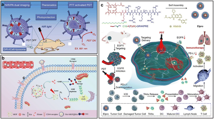 image file: d5cc04610f-f10.tif
