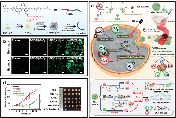 image file: d5cc04610f-f12.tif