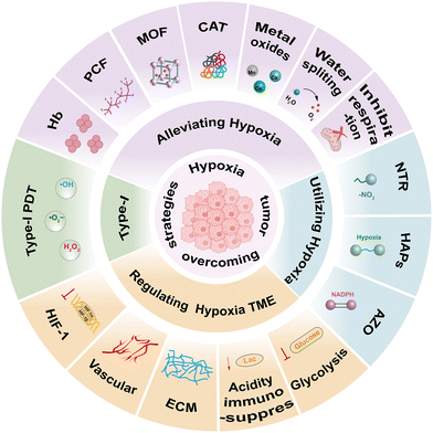 image file: d5cc04610f-f2.tif