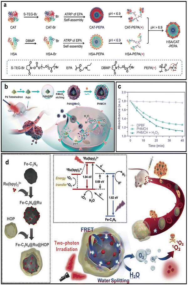 image file: d5cc04610f-f4.tif