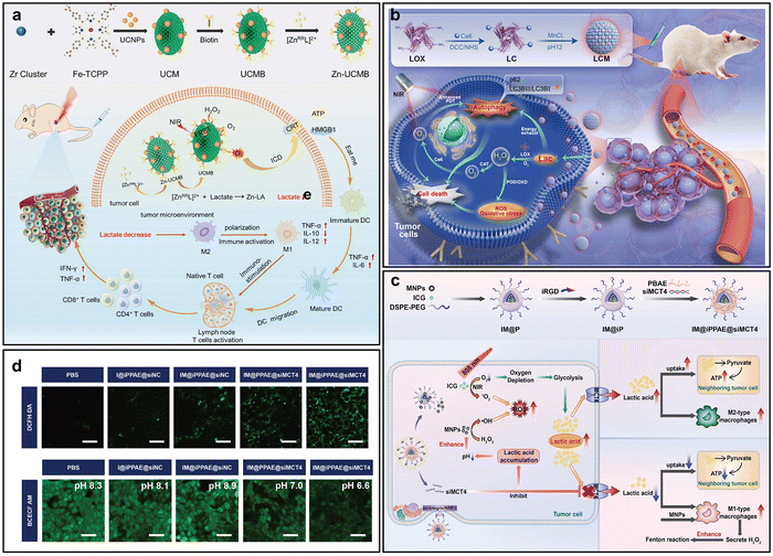 image file: d5cc04610f-f8.tif