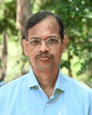 image file: d5cc04821d-p5.tif