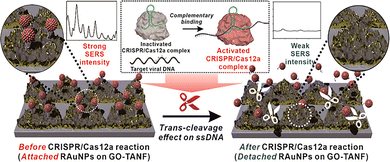 image file: d5cc05016b-f3.tif