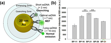 image file: d5cc05016b-f4.tif