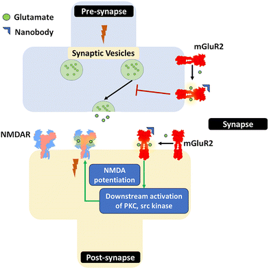 image file: d5cc05022g-f10.tif